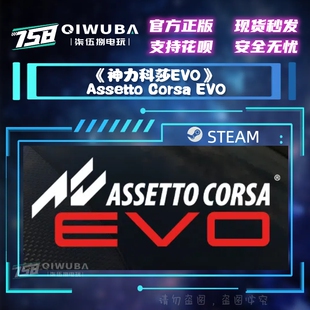 PC中文steam正版国区激活码CDK 神力科莎EVO Assetto Corsa EVO