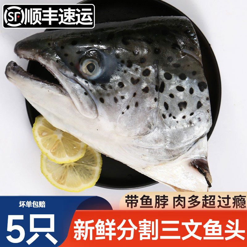三文鱼边角料新鲜冷冻超大三文鱼头深海鱼头人吃烧烤煲汤海鲜水产,水产肉类/新鲜蔬果/熟食,三文鱼,淘宝优惠券,粉丝福利购,淘宝优惠卷