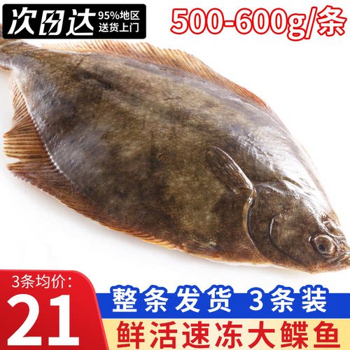 整条鲽鱼新鲜冷冻大号碟鱼深海鲽鱼身鸦片鱼比目鱼商用蝶鱼雅片鱼