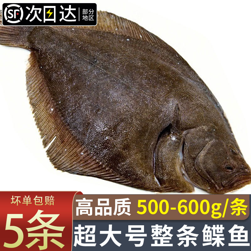 整条鲽鱼鸦片鱼顺丰包邮