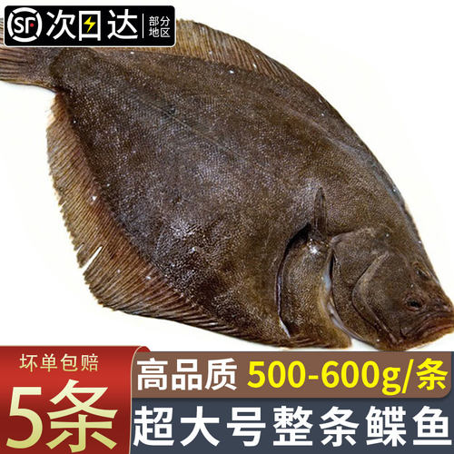 整条鲽鱼鸦片鱼顺丰包邮