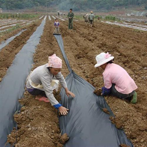 冬季包邮 塑料薄膜 农用黑色地膜种花种菜 除草 塑料布 加厚耐用