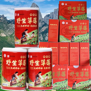 岷县野草莓罐头甘肃特产小吃定西陇南的家乡瓢子当地有岷县点心