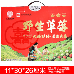 岷县野草莓罐头甘肃特产小吃定西陇南的家乡瓢子当地有岷县点心