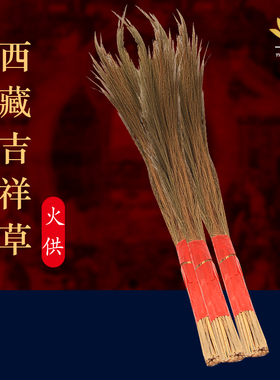 西藏天然吉祥草火供草康巴吉祥草火供吉祥草长一把30支寿茅草干花