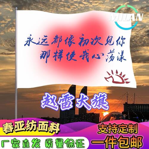 赵雷应援大旗演唱会音乐节明星赵雷旗帜定制音乐节定做手摇旗