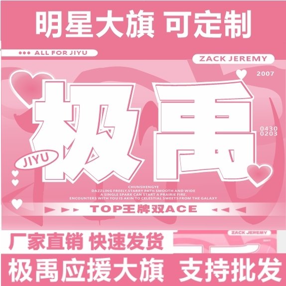 极禹应援大旗TF家族张极张泽禹CP应援旗户外音乐节演唱会大旗定制