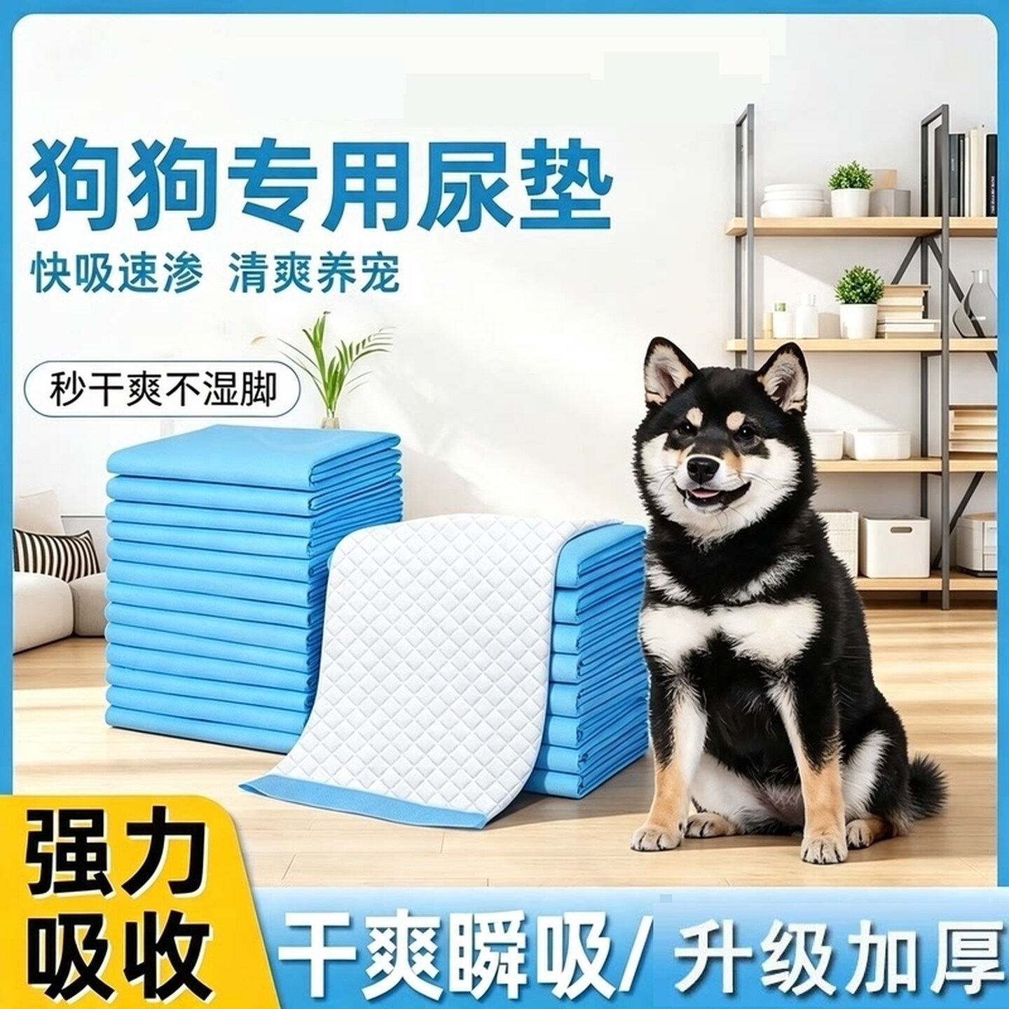 尿垫狗狗专用宠物尿垫吸水一次性尿垫隔尿垫兔子尿垫清仓小狗尿片