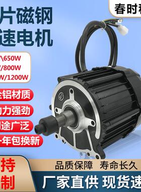 电动车差速电机 500W650W/ 750W/800W/ 1000W/1200W三轮车配