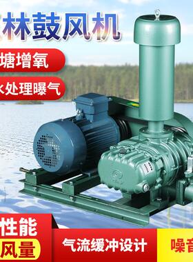 整套正林ZLE鼓风机大力士罗茨风机水产养殖 曝气机活鲜运输增氧机