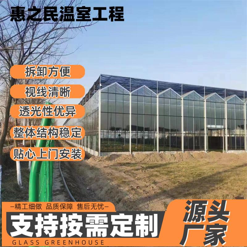 厂家销售玻璃温室大棚 花卉育苗用智能连栋温室大棚 钢管骨架温室