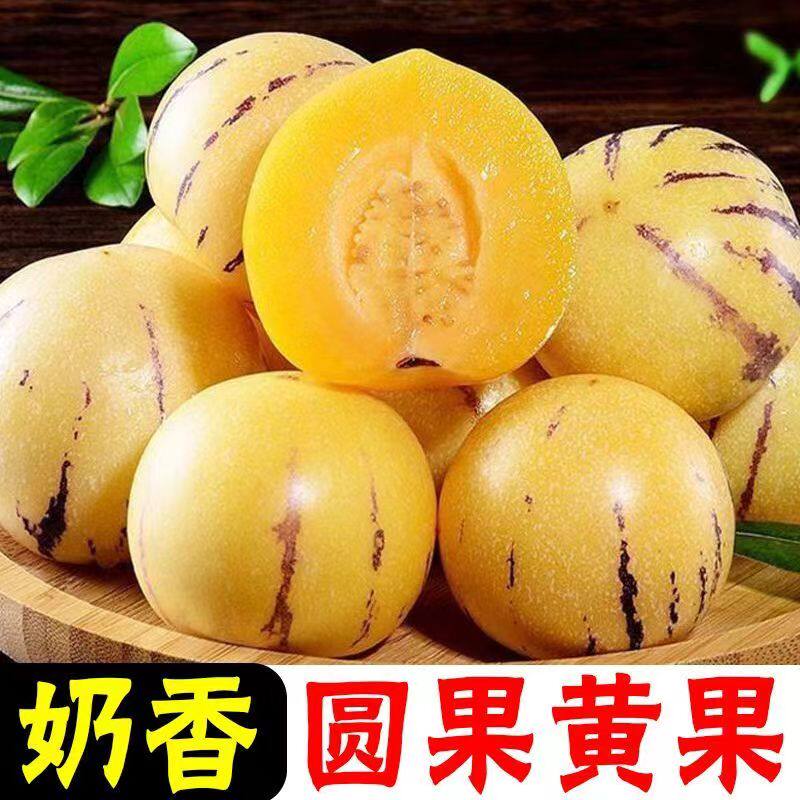 云南石林人参果新鲜水果当季整箱树上熟黄果圆果正品人生果宝宝果