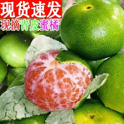 云南蜜橘桔子9斤早熟新鲜橘子新鲜水果整箱当季青皮桔子柑橘