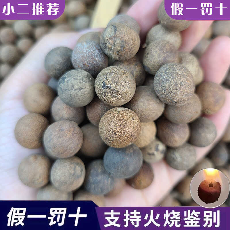 100颗带皮菩提根原果10-14mm菩提子原籽散珠DIY珠子文玩佛珠手串