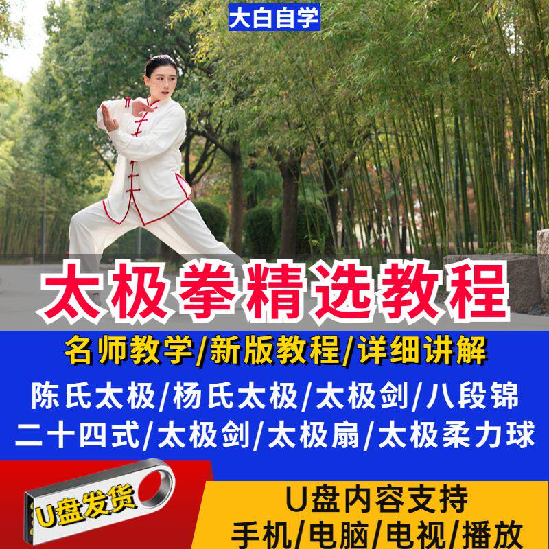 太极拳教程U盘视频零基础初中高级陈氏杨氏正宗剑扇24 56式优盘图片