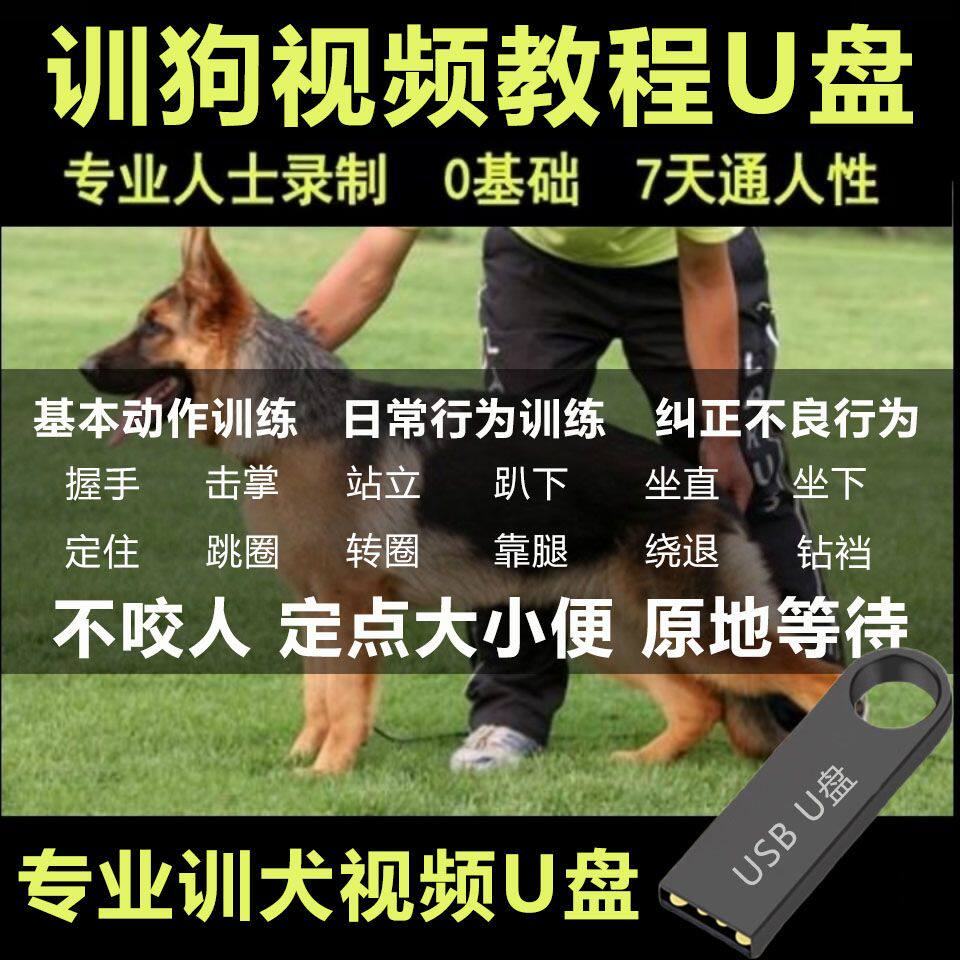 训狗教程专业训练训犬教程训狗定点上厕所训犬教程新手入门U盘