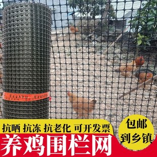 速发塑料外格防护养殖菜园栅鸡户网拦鸡网子圈玉米漏粪脚垫养栏围