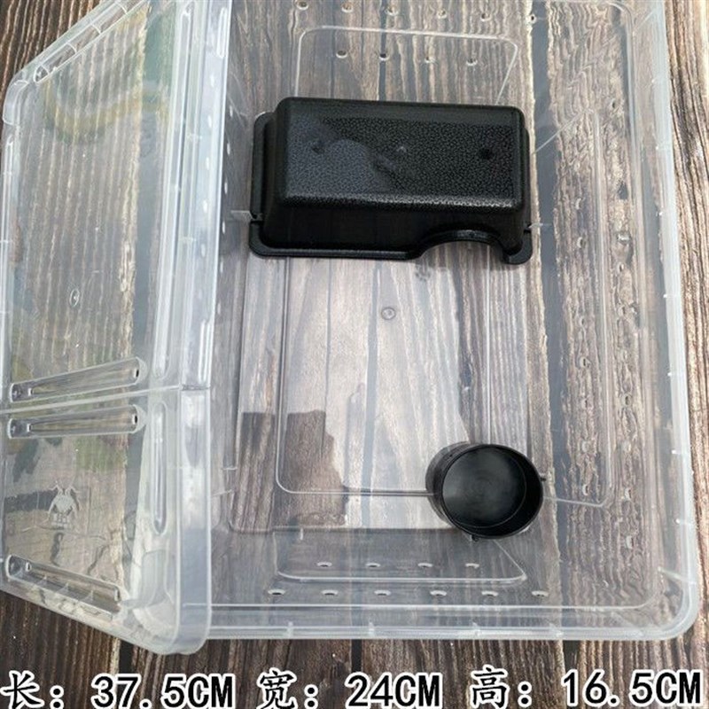 速发爬宝箱养盒爬宠饲龟缸蚕宝虫蜘蛛角蛙守宫盒蜥蜴蜗牛爬行包邮