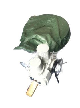 专业家厂4D943H电动阀蝶 直销D943H电动蝶阀 优质DD943H93H电动蝶