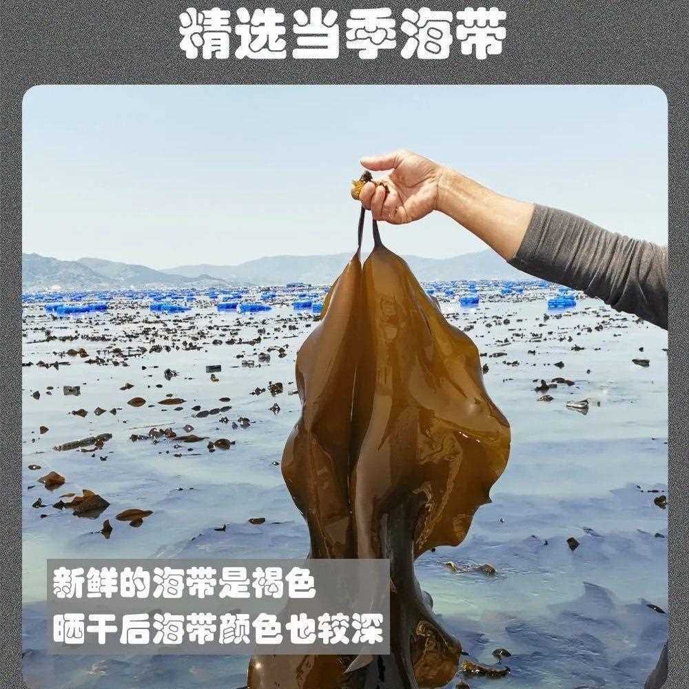 【当季新】整条干货厚无沙含丝头结海带