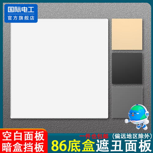 国际电工空白面板开关面板