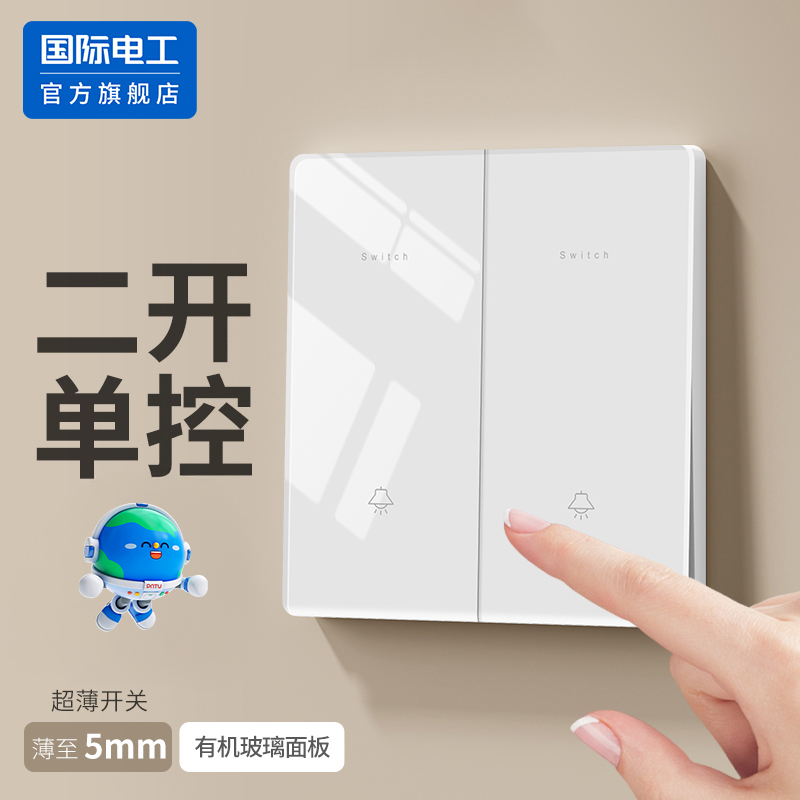 国际电工86型二开两开单控开关