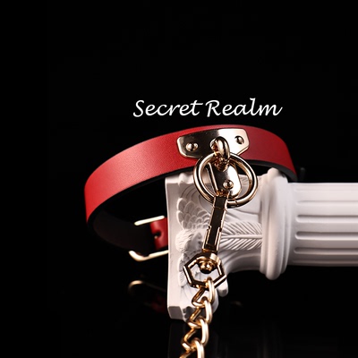 秘境「俘心」T字项圈真皮高级puppy牵引绳小众设计K9项链