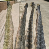 海蛇干500g养生泡酒材料养殖大海蛇干盘蛇干水产干货煲汤滋补材料