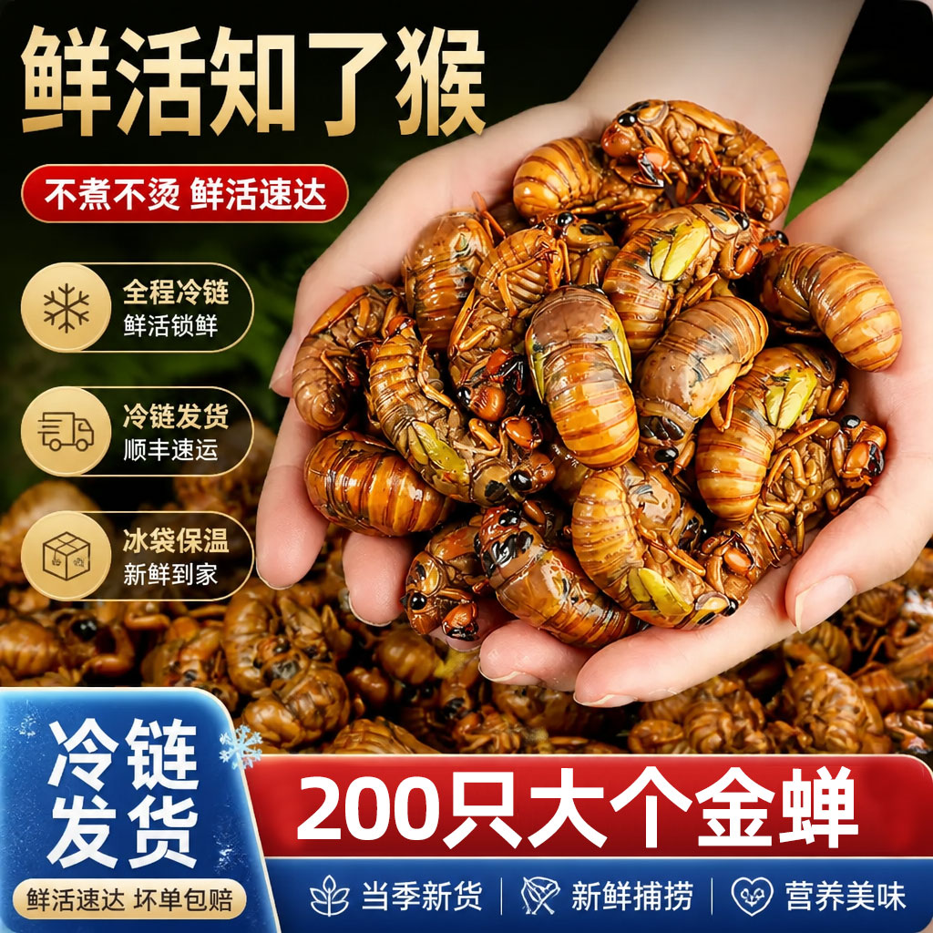 一年只有夏天能吃的知了猴