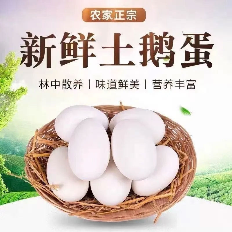 正宗的农家土鹅蛋新鲜现发