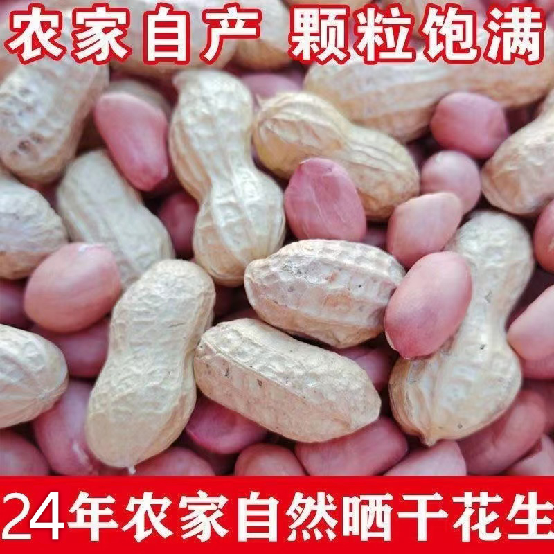 24年带壳生花生晒干薄壳粉红皮