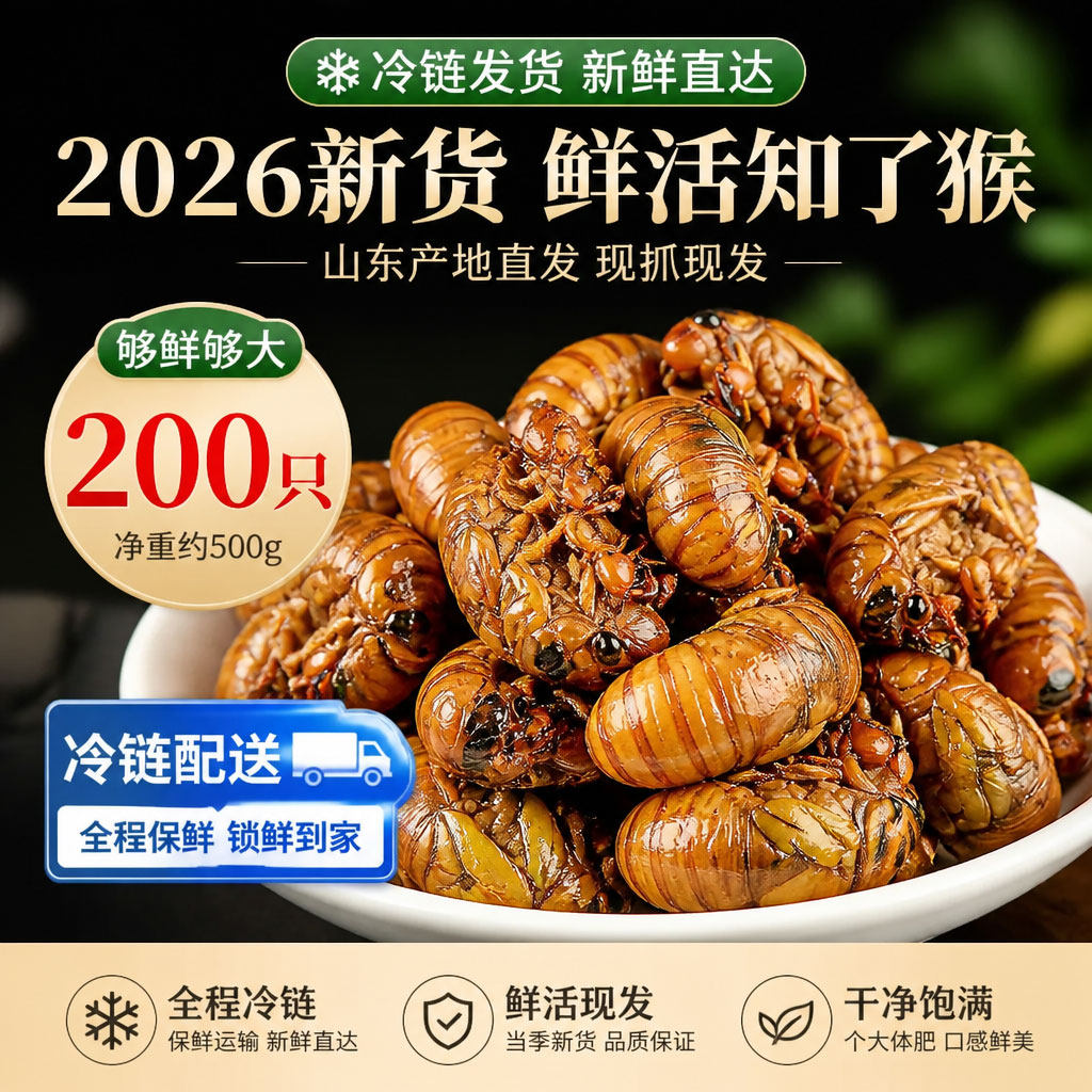 回购超多次的知了猴金蝉山东特产