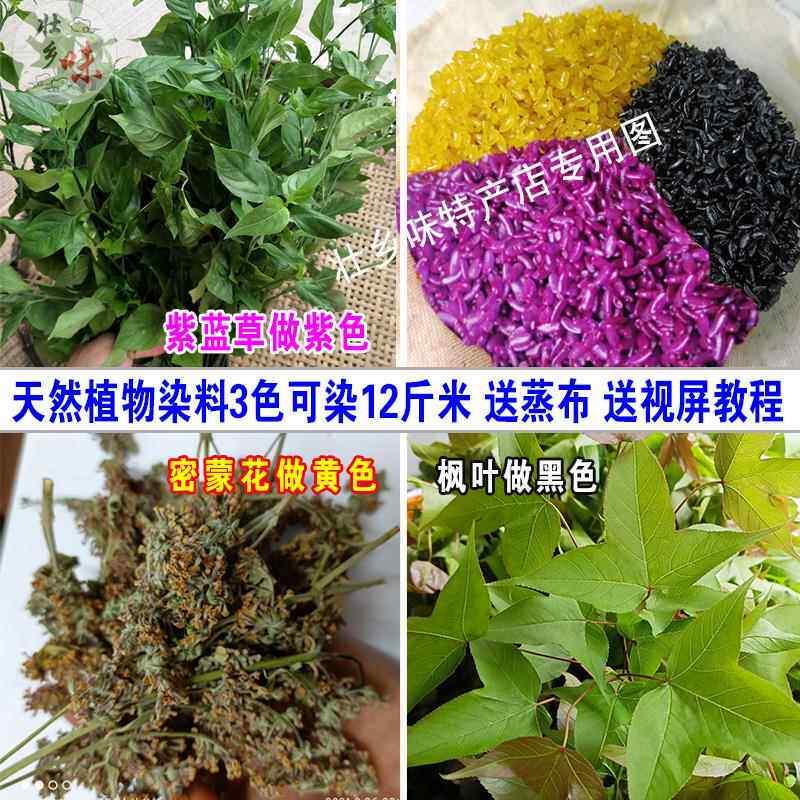 香枫叶黑色紫蓝草紫色染饭花黄色密蒙花五色糯米饭天然植物染料