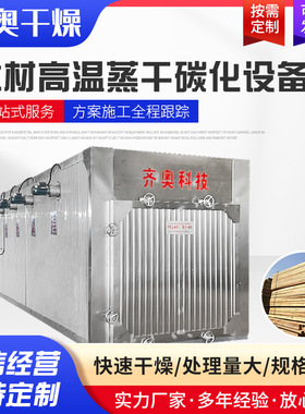 木材碳化设备 木材碳化窑 真空木材干燥机 熏蒸房 高温热处理设备
