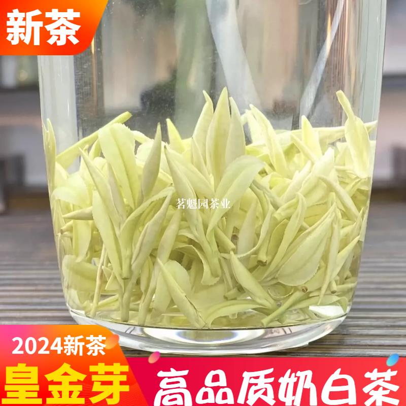 奶白茶2024新茶黄金芽茶叶明前特级白茶安吉绿茶春茶黄茶礼盒散装