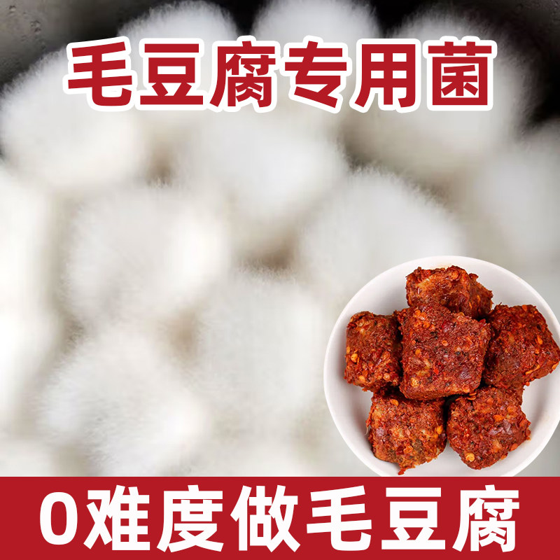 做毛豆腐专用菌自制腐乳发酵菌霉豆腐菌粉长白毛乳曲粉家用毛霉菌