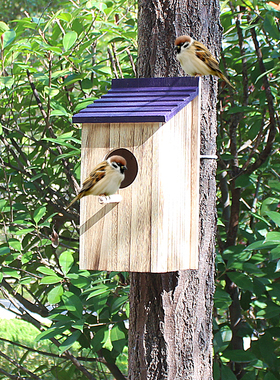 绿色校园加厚木制鸟窝鹦鹉睡觉屋冬季保暖户外防雨手工繁殖箱挂树