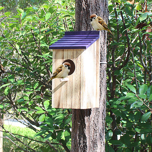 天甄地选小鸟窝户外防雨保暖手工