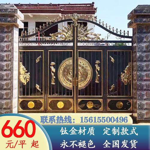 304院不钢锈庭院门乡村庭院门自建房子门双开钛大金1门入户围墙门
