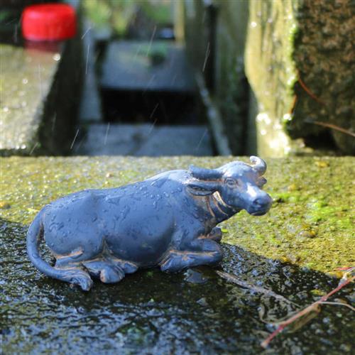 牛年小水牛摆件微景观动物装饰品花盆庭院假山流水黄牛盆景配件