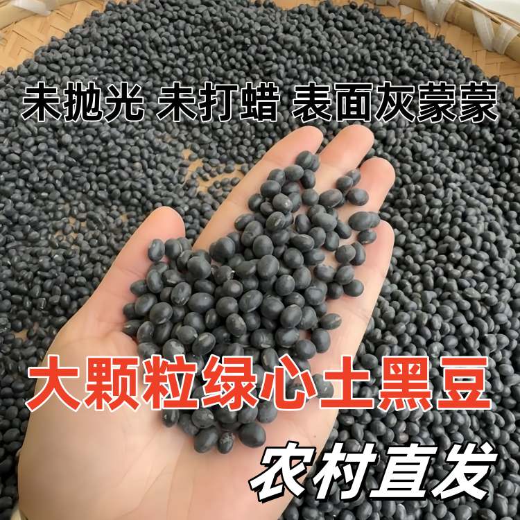 山西农家自产老品种绿心黑豆