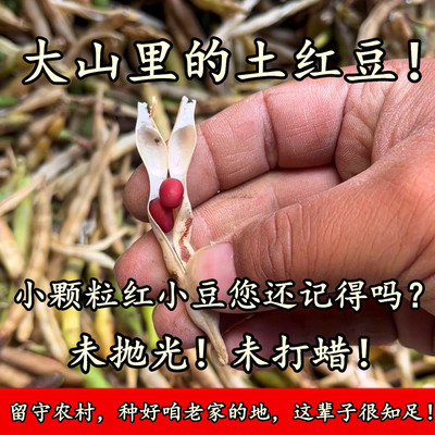 （未抛光未打蜡的老品种红豆）山西农家自种老式红豆乡下土特产