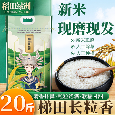 稻田绿洲50斤20斤梯田长粒香米新米晚稻丝苗米煲仔饭蛋炒饭猫牙米