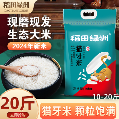 稻田绿洲10斤20斤猫牙米新米晚稻丝苗米大米长颗粒猫油粘米批发