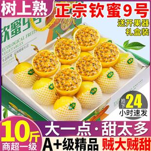 水果孕妇海南特大礼盒5 当季 树上熟10斤钦蜜9号黄金百香果新鲜 包邮