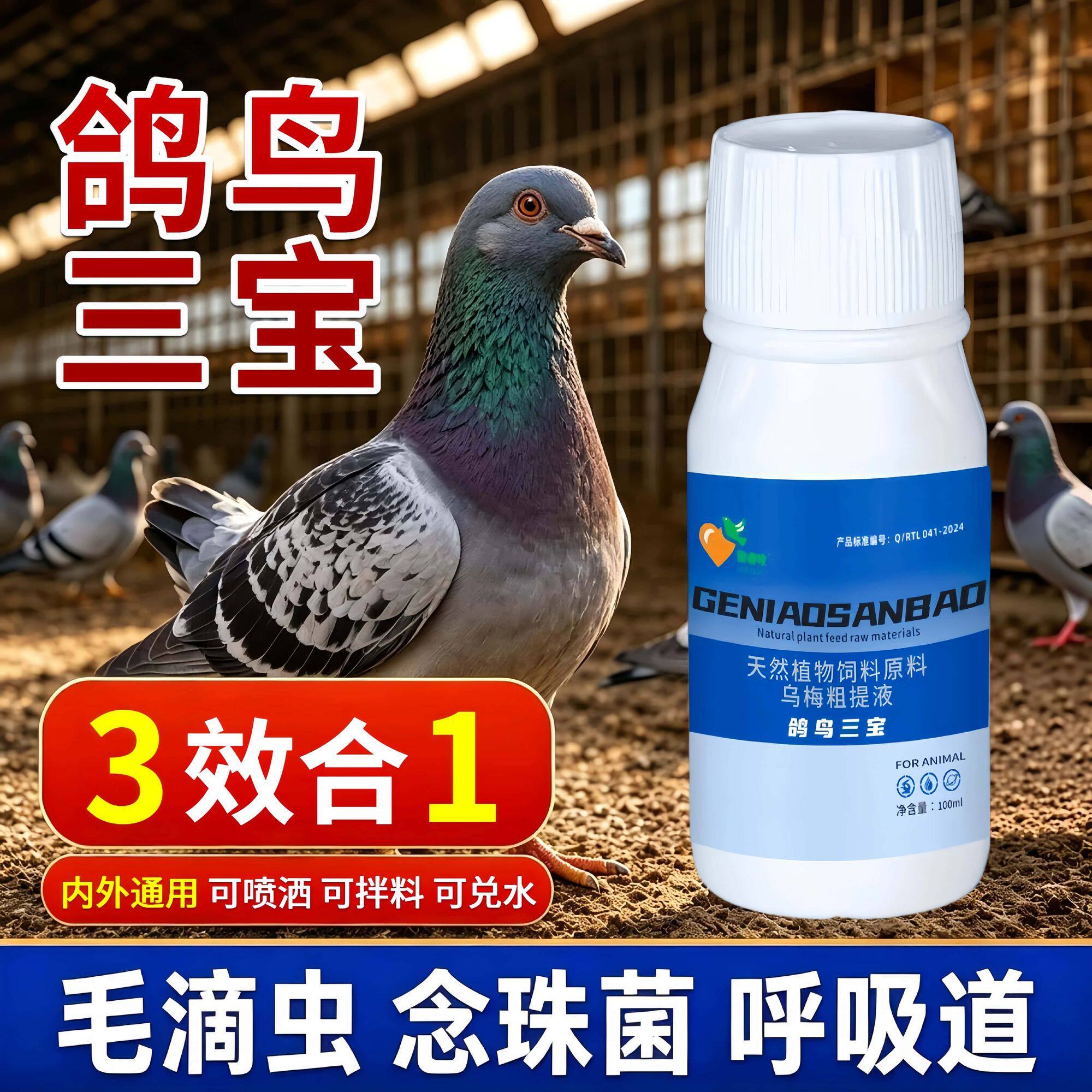 赛鸽信鸽鹦鹉鸟类专用鸽鸟三宝毛滴念珠张口呼三合一口黄白点黄点