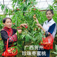 珍珠棗密桃順豐快遞廣西水果