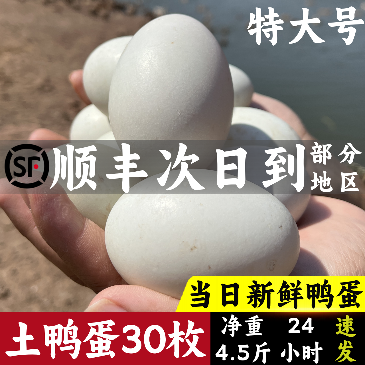 散养土鸭蛋新鲜生鸭蛋整箱正宗麻鸭子蛋非海鸭蛋农家水养新鲜鸭蛋