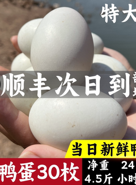 散养土鸭蛋新鲜生鸭蛋整箱正宗麻鸭子蛋非海鸭蛋农家水养新鲜鸭蛋