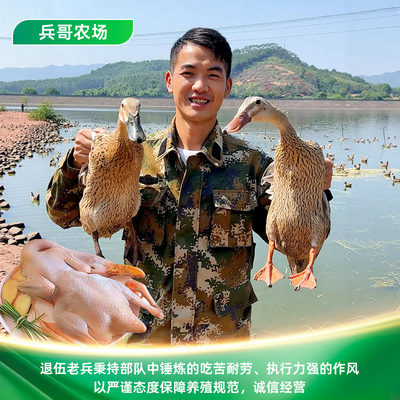 广西水库土鸭新鲜现杀顺丰直达